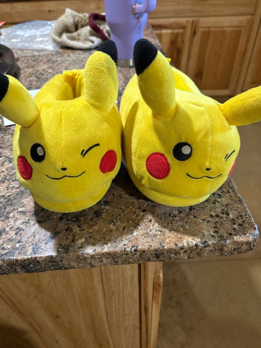 Pokemon Slippers for Kids